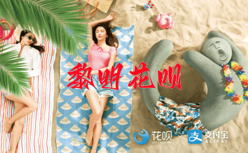 简明扼要花呗